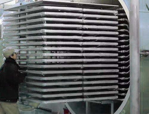 寵物食品凍干機(jī)生產(chǎn)廠家 技術(shù)革新與市場需求