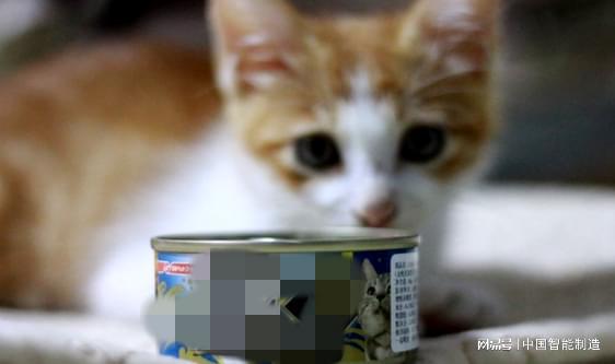 它經濟風起，國產寵物食品品牌陣營持續(xù)壯大